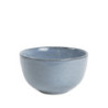 RGA-316991