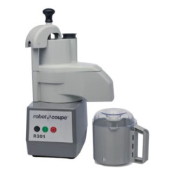 RC-R301
