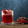 Pasabahce Elysia Whiskey Glass 355ml