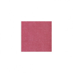 NAP1105006