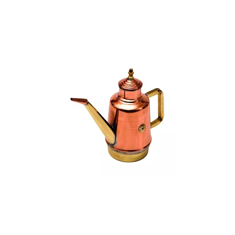 PIZGIOL10