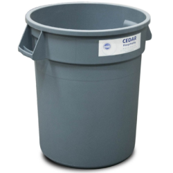BIN17813