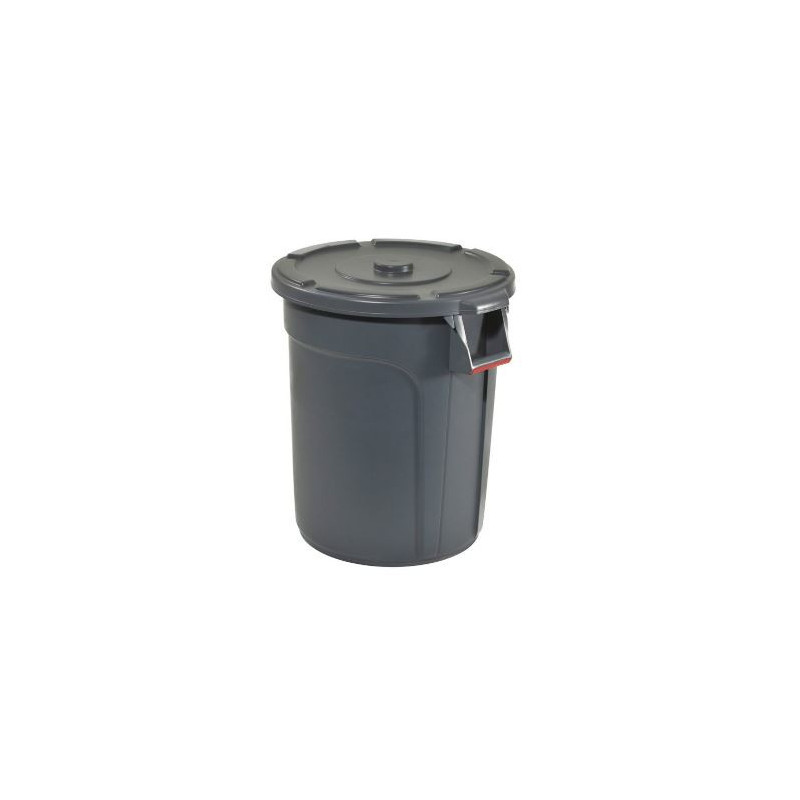 BIN17811