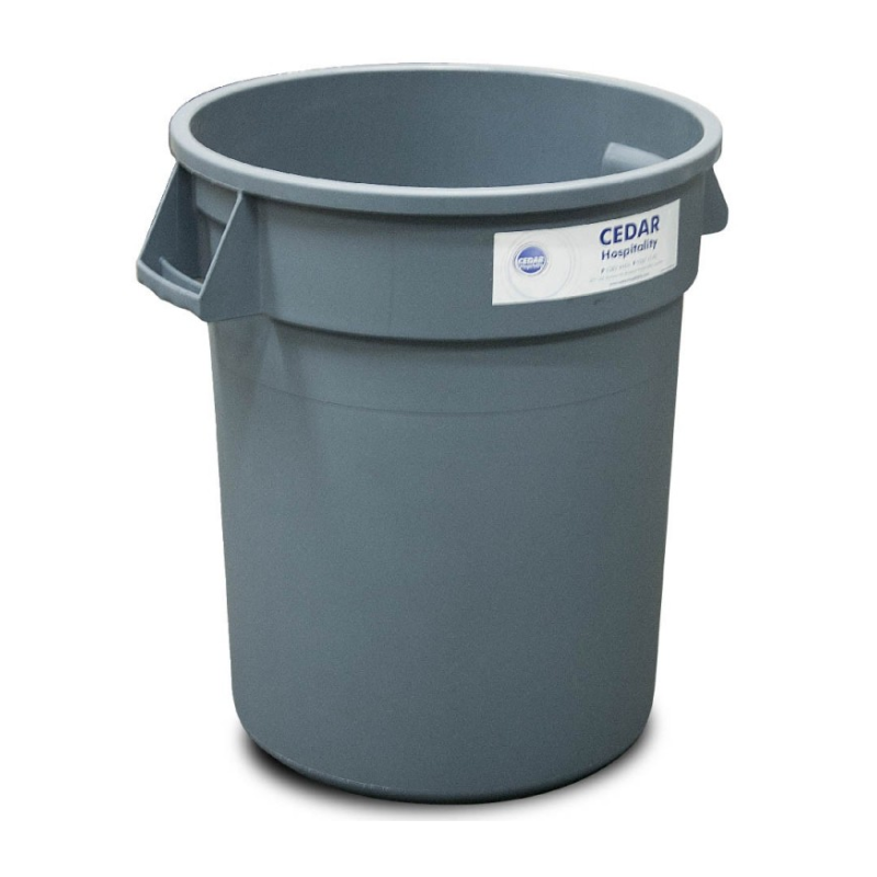 BIN17813