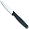 Victorinox Classic Paring Knife