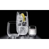 Rona Lunar Beer Tumbler Glass