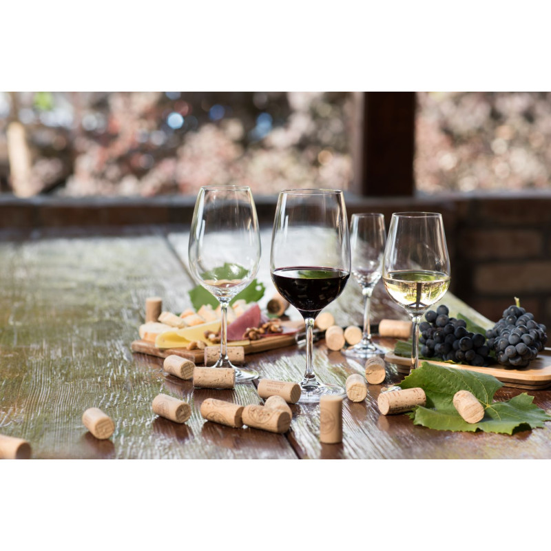 Rona Ratio Lined Bordeaux Wine Glass 450ml