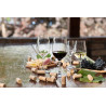 Rona Ratio Lined Bordeaux Wine Glass 450ml