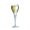 Arcoroc Brio Champagne Flute