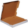 PIZB0041