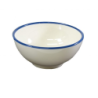 PLAM49935