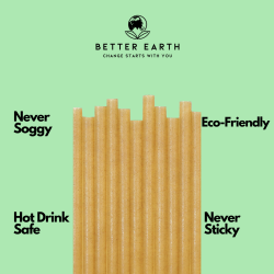 Little Green Panda  Sugar Cane Cocktail Straw Long Size 500/Pack