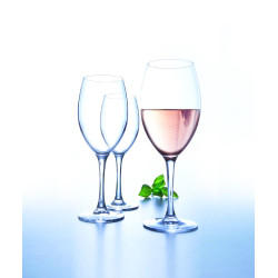 Arcoroc Delica Wine Glass With Line