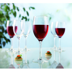 Arcoroc Delica Wine Glass With Line