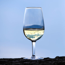 Luigi Bormioli  Double Old Fashion Wine Taster Glass 215ml