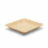 PLAT98420