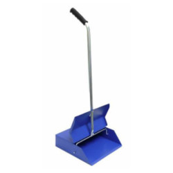CLEL11104