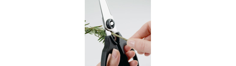 Scissors & Shears