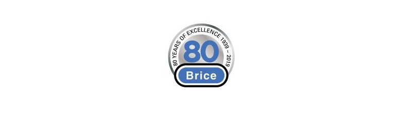 Brice Meat Slicers | Cedar Hospitality Supplies