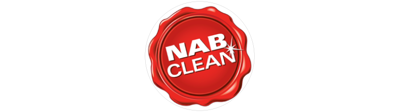 Nab clean Window Squeegie Plastic Wsp