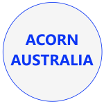 Acorn